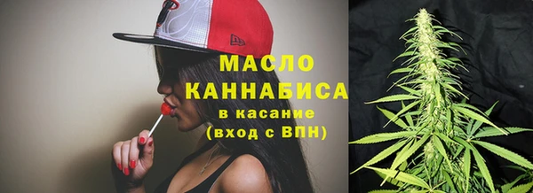 амф Горняк