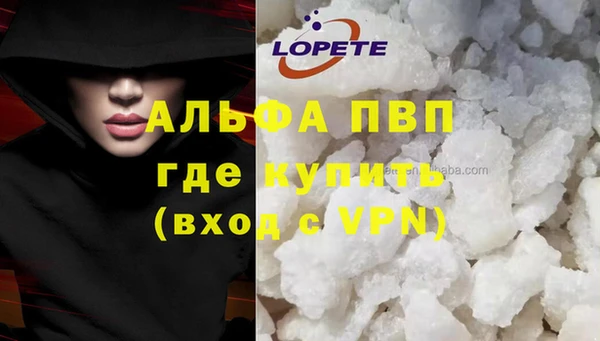 ГАЛЛЮЦИНОГЕННЫЕ ГРИБЫ Вяземский