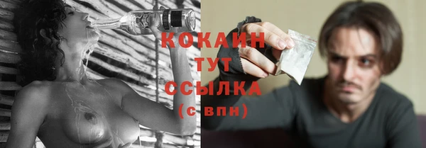 амф Горняк