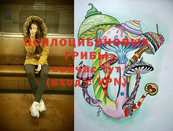 СК Вязники