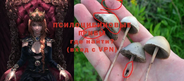 крисы Верхнеуральск