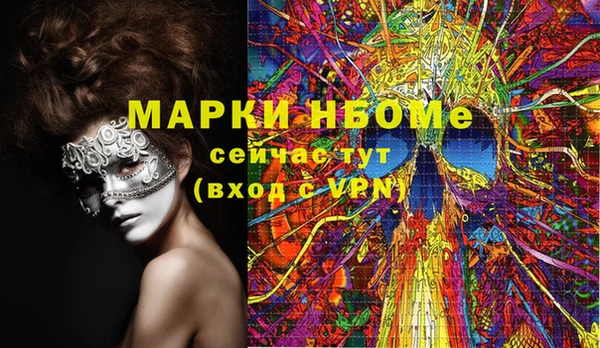 амф Горняк