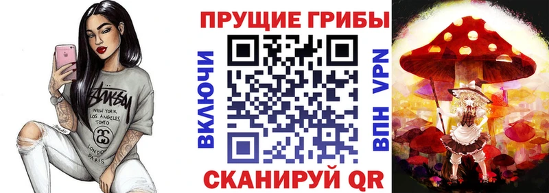 Псилоцибиновые грибы ЛСД  закладка  Жердевка 